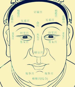 鼻子