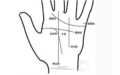 事業線分叉的女人作何解釋