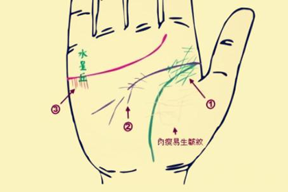 口字紋和十字紋哪種紋路財運更好