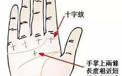 解析十字紋