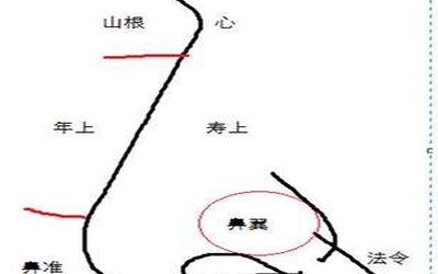 面相裡鼻子山根有什麼說法?