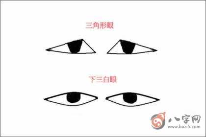 三白眼是什么樣子的
