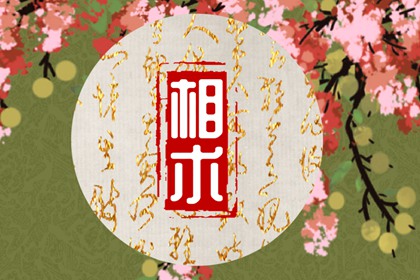 蒜頭鼻代表什么命運