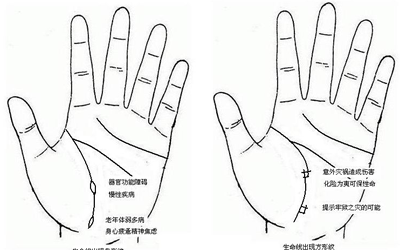 生命線的長短等於壽命的長短嗎？