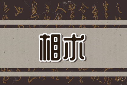 事業容易成功的面相