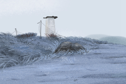 女人旺夫鼻是什麼樣的