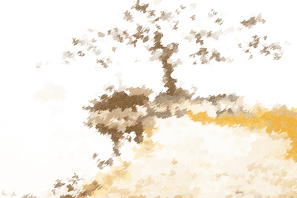 沙中土命的人有陰陽眼運勢如何