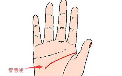 智慧線型假斷掌是怎麼一回事？