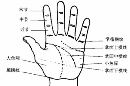 口字紋和井字紋哪種紋路命更好