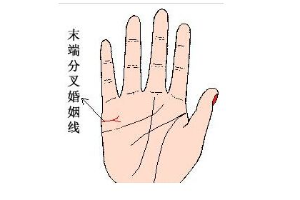怎麼通過看婚姻線知道自己幾歲