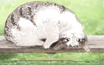 有夫子眼的命運都好嗎