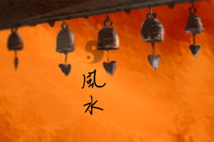 美人尖的男人是貴命嗎