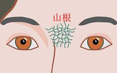 你的山根是怎麼樣的呢？