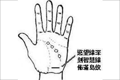 分析智慧線上有島紋的具體含義
