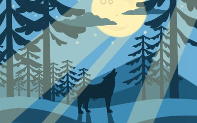 哪些面相的女人最愛妒忌？