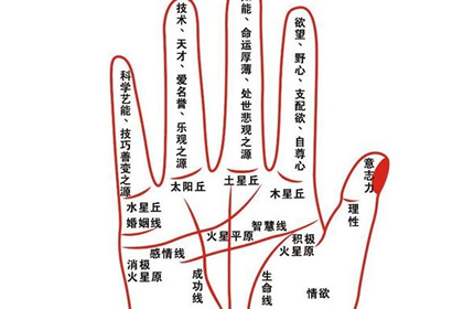 怎麼通過看婚姻線知道自己幾歲