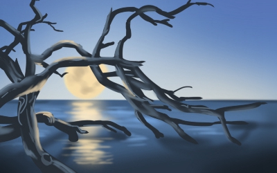 三十歲後有福氣面相的特徵