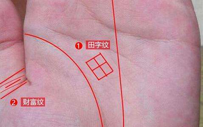 解析財富紋