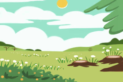 釵釧金命人有四白眼運勢如何