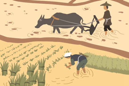 有旺夫鼻的女明星