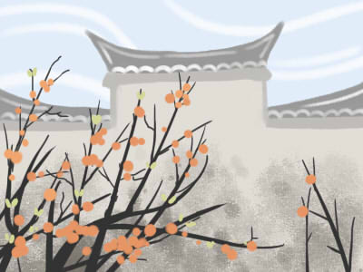 眼睛大鼻樑挺的女人婚姻運怎樣呢