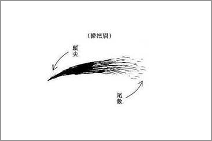 什麼是掃把眉