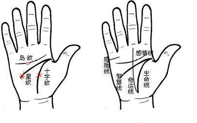 哪條是財運線
