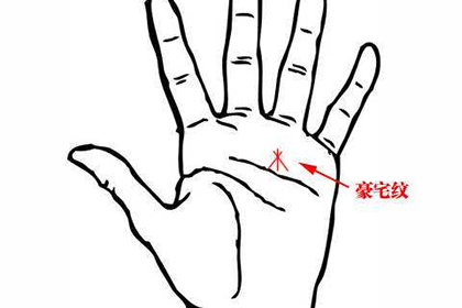 田字紋和井字紋哪種紋路命更好