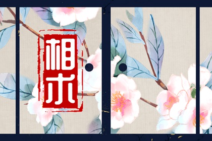 眉心的痣叫什么痣