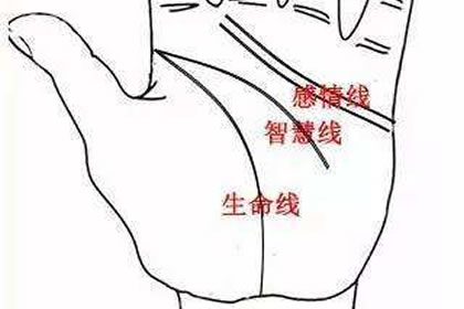 話說智慧線和感情線相連究竟是怎麼一回事