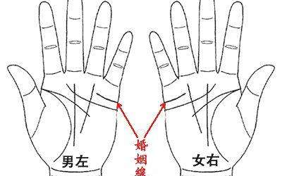 婚姻線分叉的十種形態