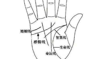 揭祕無名指下的十字紋