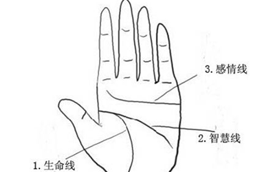 生命線和智慧線相連的幾種情況解釋