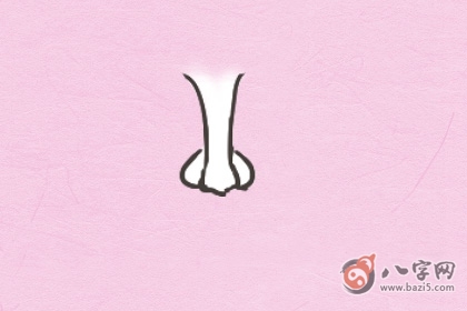 鼻子中間有豎紋會如何