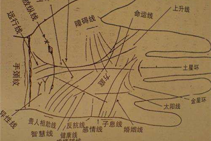 口字紋和井字紋哪種紋路命更好