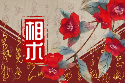 鼻尖上有痣命相代表什么