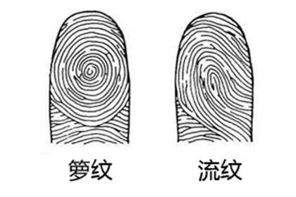 指紋上有九個斗的男人註定大富大貴