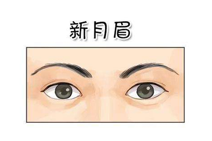 解析新月眉以及柳葉眉的含義