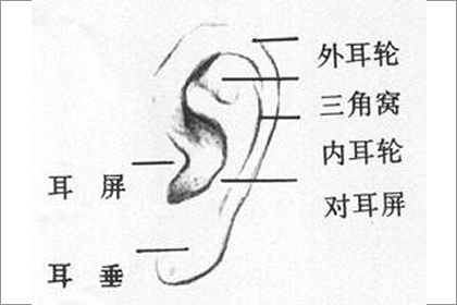 通常很搞笑的人都差不多長這樣
