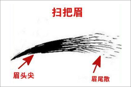 解讀劍眉和掃把眉的區別