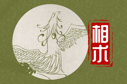 下巴面相長痣了好不好