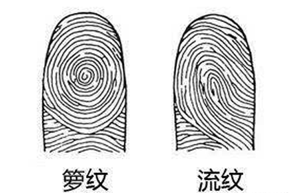 男人的指紋上只有一個鬥是窮苦命嗎