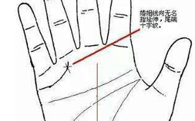 解析十字紋