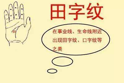 田字紋和井字紋哪種紋路命更好