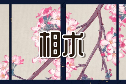 平臉面相的人有什么說法