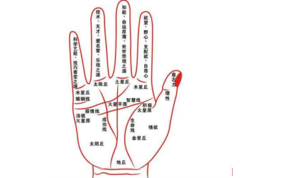 男人有沒有錢看財運線