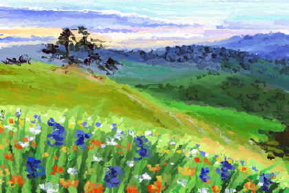 劍鋒金命人有四白眼運勢如何