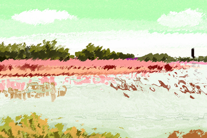 眼角長硃砂痣代表什麼