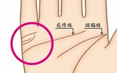 揭曉成功線與婚姻線隱藏的祕密