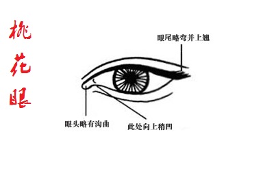 話說長桃花眼的男女究竟如何?